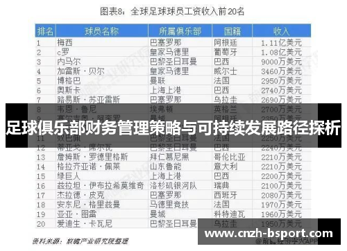 足球俱乐部财务管理策略与可持续发展路径探析