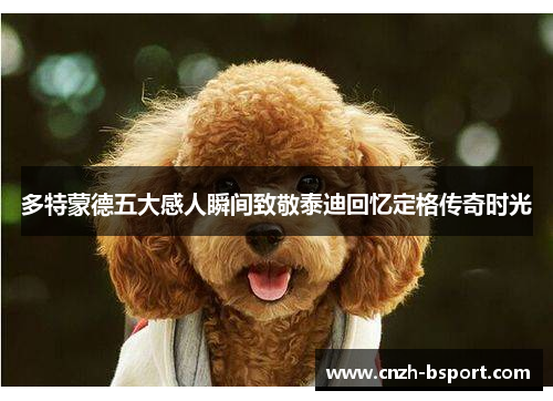 多特蒙德五大感人瞬间致敬泰迪回忆定格传奇时光