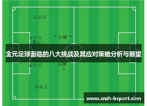金元足球面临的八大挑战及其应对策略分析与展望