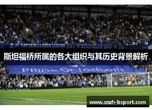 斯坦福桥所属的各大组织与其历史背景解析 斯坦福桥所属的各大组织与其历史背景解析