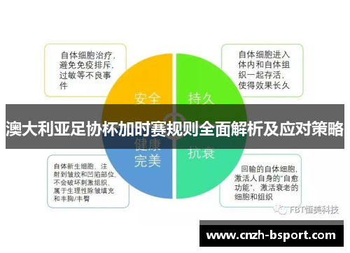 澳大利亚足协杯加时赛规则全面解析及应对策略 澳大利亚足协杯加时赛规则全面解析及应对策略