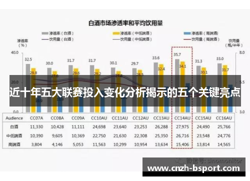 近十年五大联赛投入变化分析揭示的五个关键亮点 近十年五大联赛投入变化分析揭示的五个关键亮点