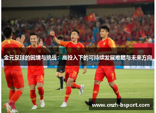 金元足球的困境与挑战:高投入下的可持续发展难题与未来方向 金元足球的困境与挑战:高投入下的可持续发展难题与未来方向